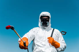 Best Residential Pest Control  in Youngtown, AZ